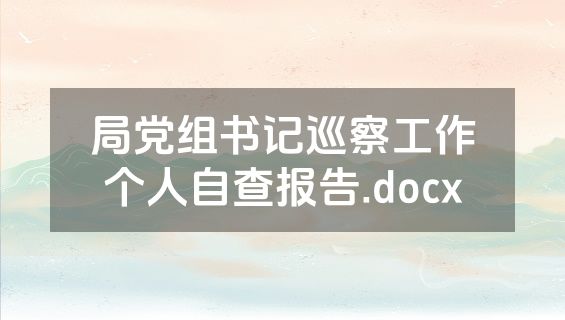 局党组书记巡察工作个人自查报告.docx