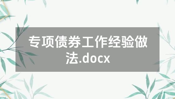 专项债券工作经验做法.docx
