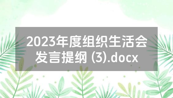 2023年度组织生活会发言提纲 (3).docx