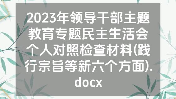 2023年领导干部主题教育专题民主生活会个人对照检查材料(践行宗旨等新六个方面).docx