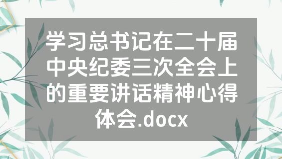 学习总书记在二十届中央纪委三次全会上的重要讲话精神心得体会.docx