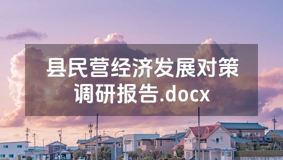 县民营经济发展对策调研报告.docx