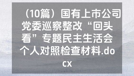 （10篇）国有上市公司党委巡察整改“回头看”专题民主生活会个人对照检查材料.docx