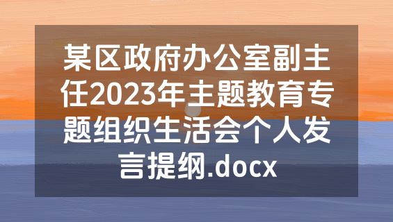 某区政府办公室副主任2023年主题教育专题组织生活会个人发言提纲.docx