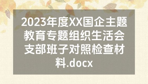 2023年度XX国企主题教育专题组织生活会支部班子对照检查材料.docx