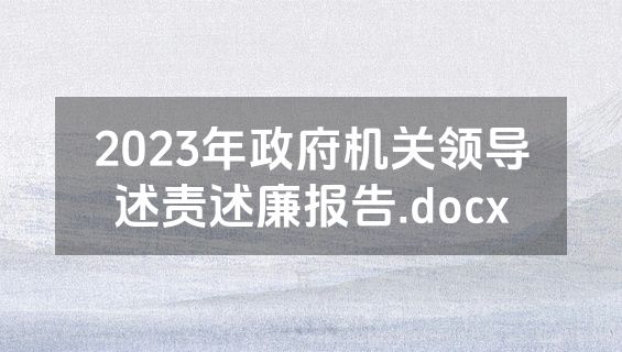 2023年政府机关领导述责述廉报告.docx