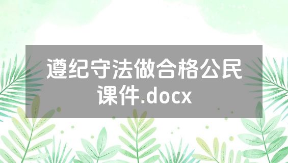 遵纪守法做合格公民课件.docx