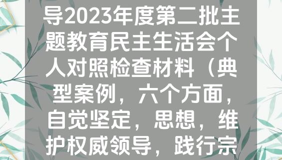 分管乡村振兴工作领导2023年度第二批主题教育民主生活会个人对照检查材料（典型案例，六个方面，自觉坚定，思想，维护权威领导，践行宗旨）.docx