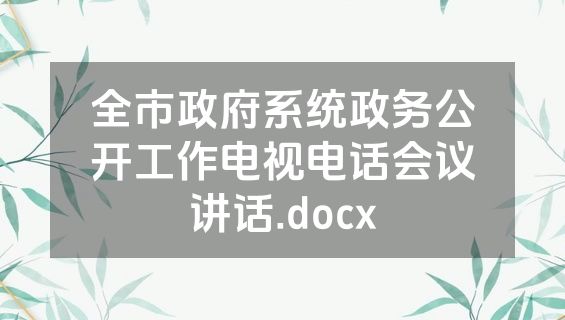 全市政府系统政务公开工作电视电话会议讲话.docx