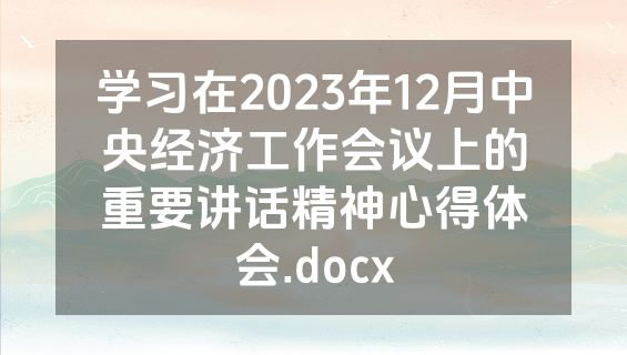 学习在2023年12月中央经济工作会议上的重要讲话精神心得体会.docx