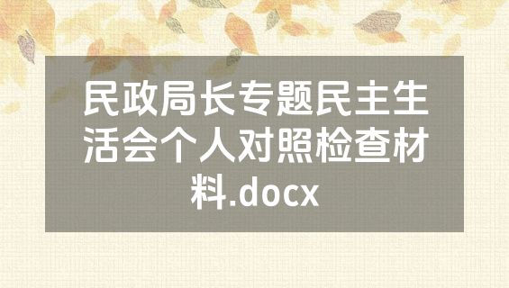 民政局长专题民主生活会个人对照检查材料.docx