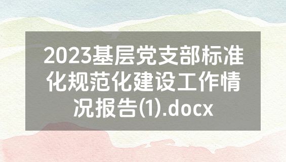 2023基层党支部标准化规范化建设工作情况报告(1).docx