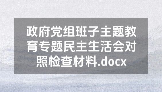 政府党组班子主题教育专题民主生活会对照检查材料.docx