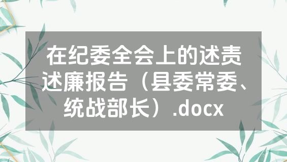 在纪委全会上的述责述廉报告（县委常委、统战部长）.docx