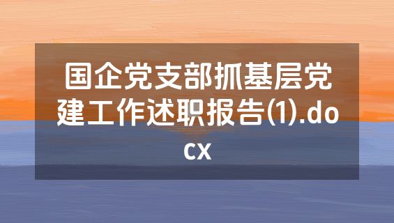 国企党支部抓基层党建工作述职报告(1).docx