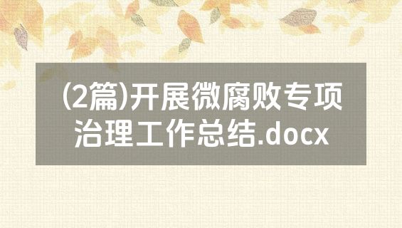 (2篇)开展微腐败专项治理工作总结.docx