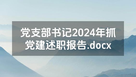 党支部书记2024年抓党建述职报告.docx