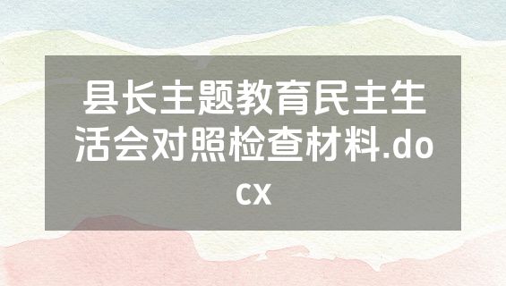 县长主题教育民主生活会对照检查材料.docx