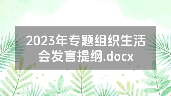 2023年专题组织生活会发言提纲.docx