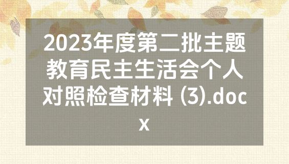 2023年度第二批主题教育民主生活会个人对照检查材料 (3).docx
