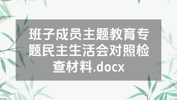 班子成员主题教育专题民主生活会对照检查材料.docx