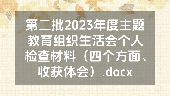 第二批2023年度主题教育组织生活会个人检查材料（四个方面、收获体会）.docx