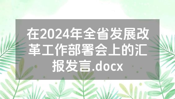 在2024年全省发展改革工作部署会上的汇报发言.docx