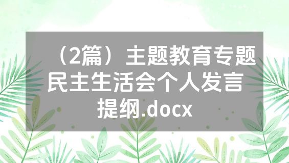 （2篇）主题教育专题民主生活会个人发言提纲.docx