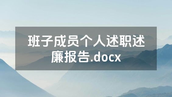 班子成员个人述职述廉报告.docx