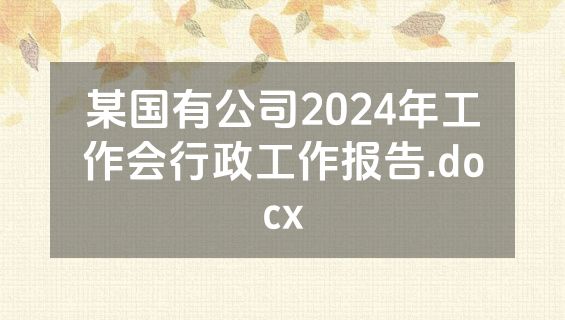 某国有公司2024年工作会行政工作报告.docx
