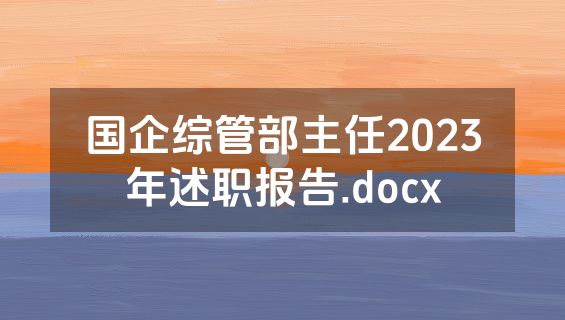 国企综管部主任2023年述职报告.docx