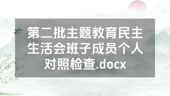 第二批主题教育民主生活会班子成员个人对照检查.docx