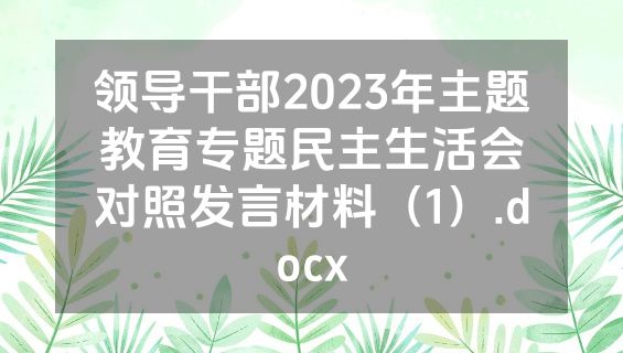 领导干部2023年主题教育专题民主生活会对照发言材料（1）.docx