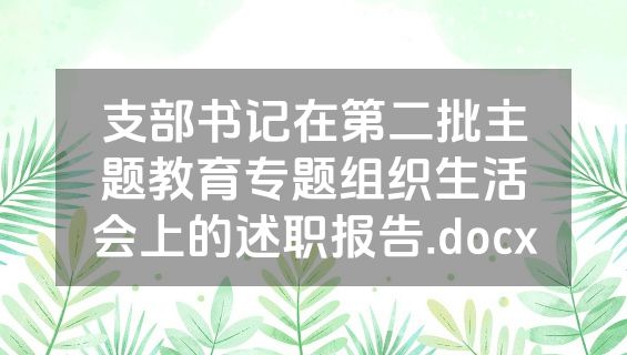 支部书记在第二批主题教育专题组织生活会上的述职报告.docx