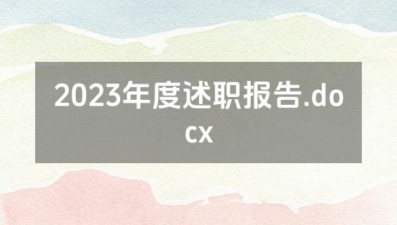 2023年度述职报告.docx