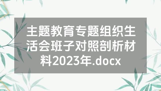 主题教育专题组织生活会班子对照剖析材料2023年.docx