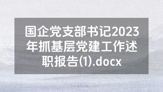 国企党支部书记2023年抓基层党建工作述职报告(1).docx