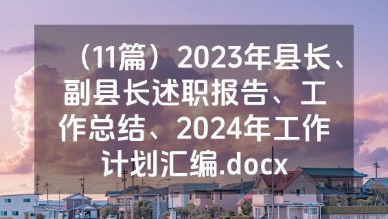 （11篇）2023年县长、副县长述职报告、工作总结、2024年工作计划汇编.docx
