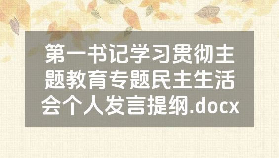 第一书记学习贯彻主题教育专题民主生活会个人发言提纲.docx