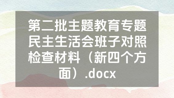第二批主题教育专题民主生活会班子对照检查材料（新四个方面）.docx