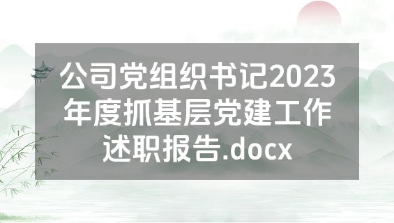 公司党组织书记2023年度抓基层党建工作述职报告.docx