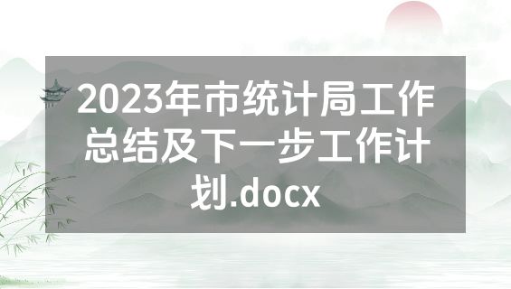 2023年市统计局工作总结及下一步工作计划.docx