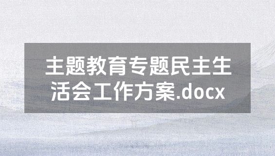 主题教育专题民主生活会工作方案.docx