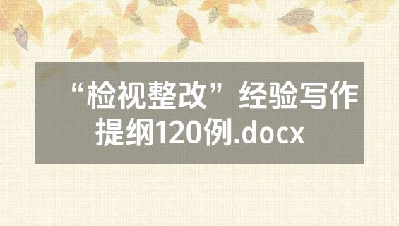 “检视整改”经验写作提纲120例.docx