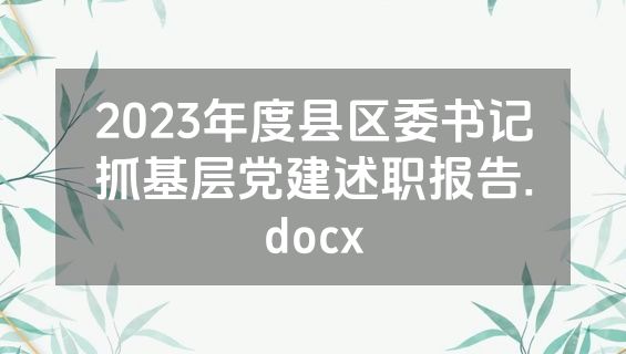 2023年度县区委书记抓基层党建述职报告.docx