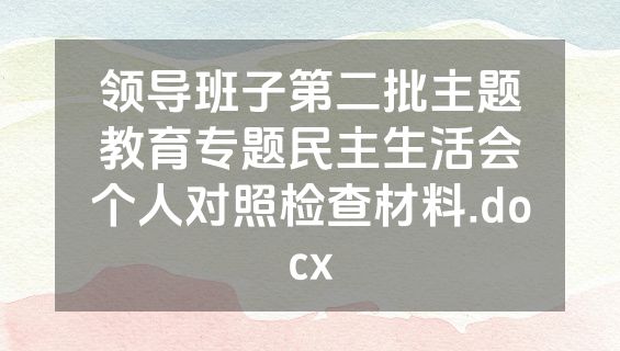 领导班子第二批主题教育专题民主生活会个人对照检查材料.docx