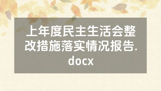 上年度民主生活会整改措施落实情况报告.docx