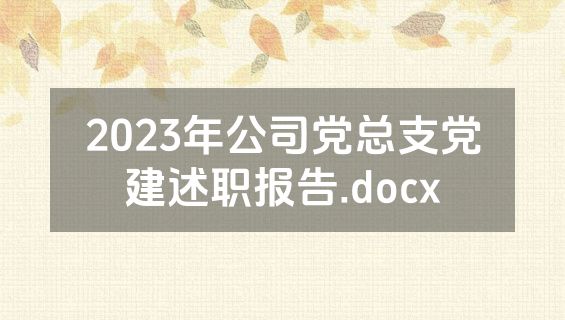2023年公司党总支党建述职报告.docx