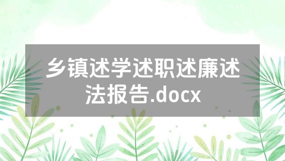乡镇述学述职述廉述法报告.docx