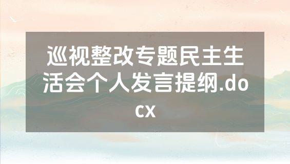 巡视整改专题民主生活会个人发言提纲.docx